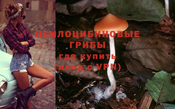 прущий лед Майский