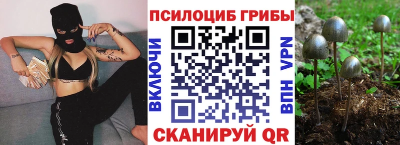 сколько стоит  Нариманов  Псилоцибиновые грибы прущие грибы 